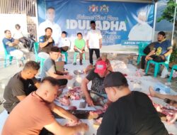 Idul Adha 1447 H, Kadin Sultra Salurkan 3 Ekor Sapi ke Warga Kendari